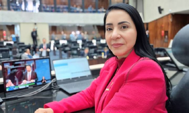 Comissão de Defesa dos Direitos da Mulher consolida avanços legislativos e audiências públicas em 2025