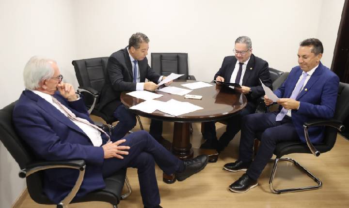 Comissão de Defesa dos Direitos da Pessoa Idosa aprova projeto que cria Cordão de Tulipa