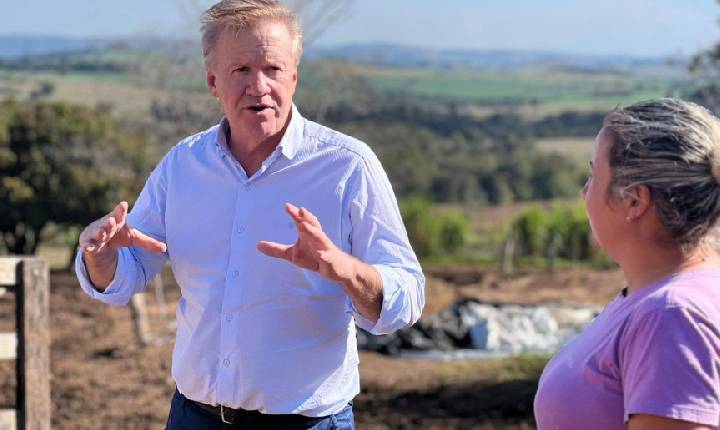 Em apenas um mês, Lei proposta pelo deputado Luis Corti (PSB) derruba pela metade a importação de leite em pó no Paraná