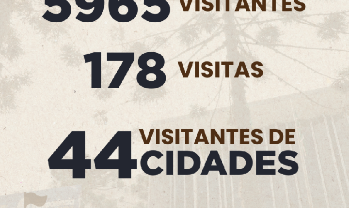 Programa de visitas guiadas da Assembleia Legislativa recebe quase 6 mil pessoas ao longo de 2025