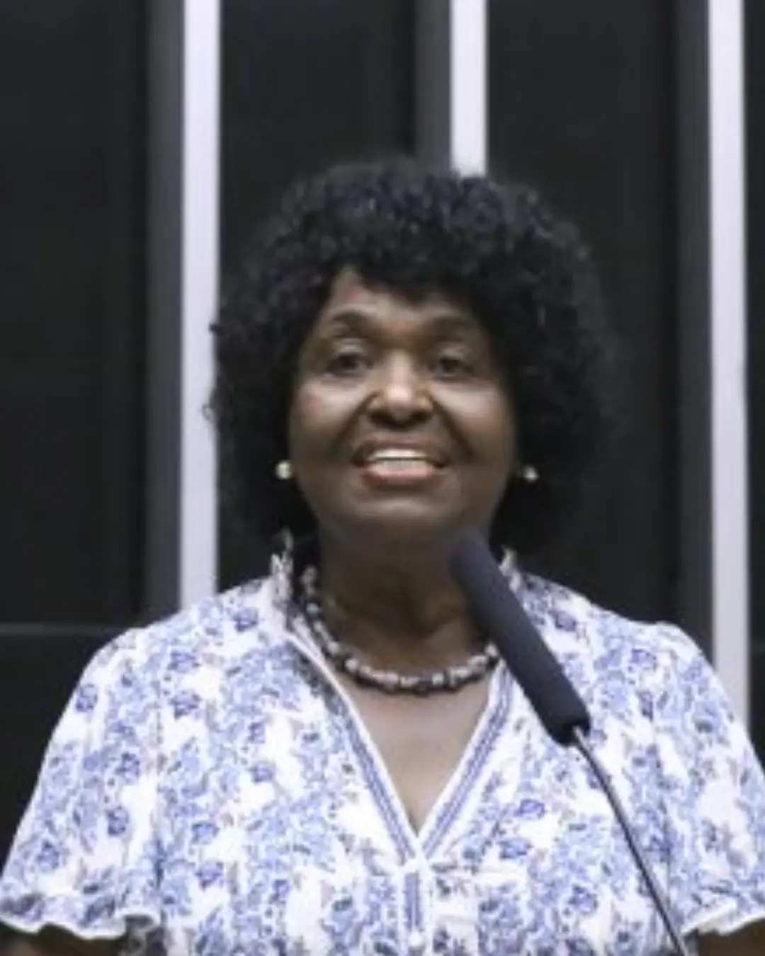 Câmara dos Deputados aprova criação do Dia Nacional das Defensoras e Defensores de Direitos Humanos