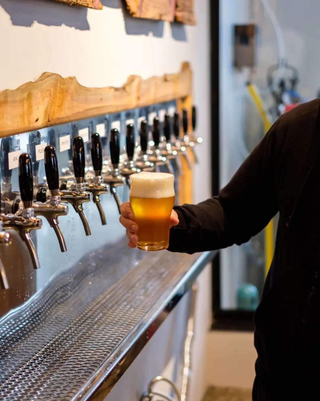 Cervejas artesanais do Paraná ganham reconhecimento nacional e impulsionam turismo regional