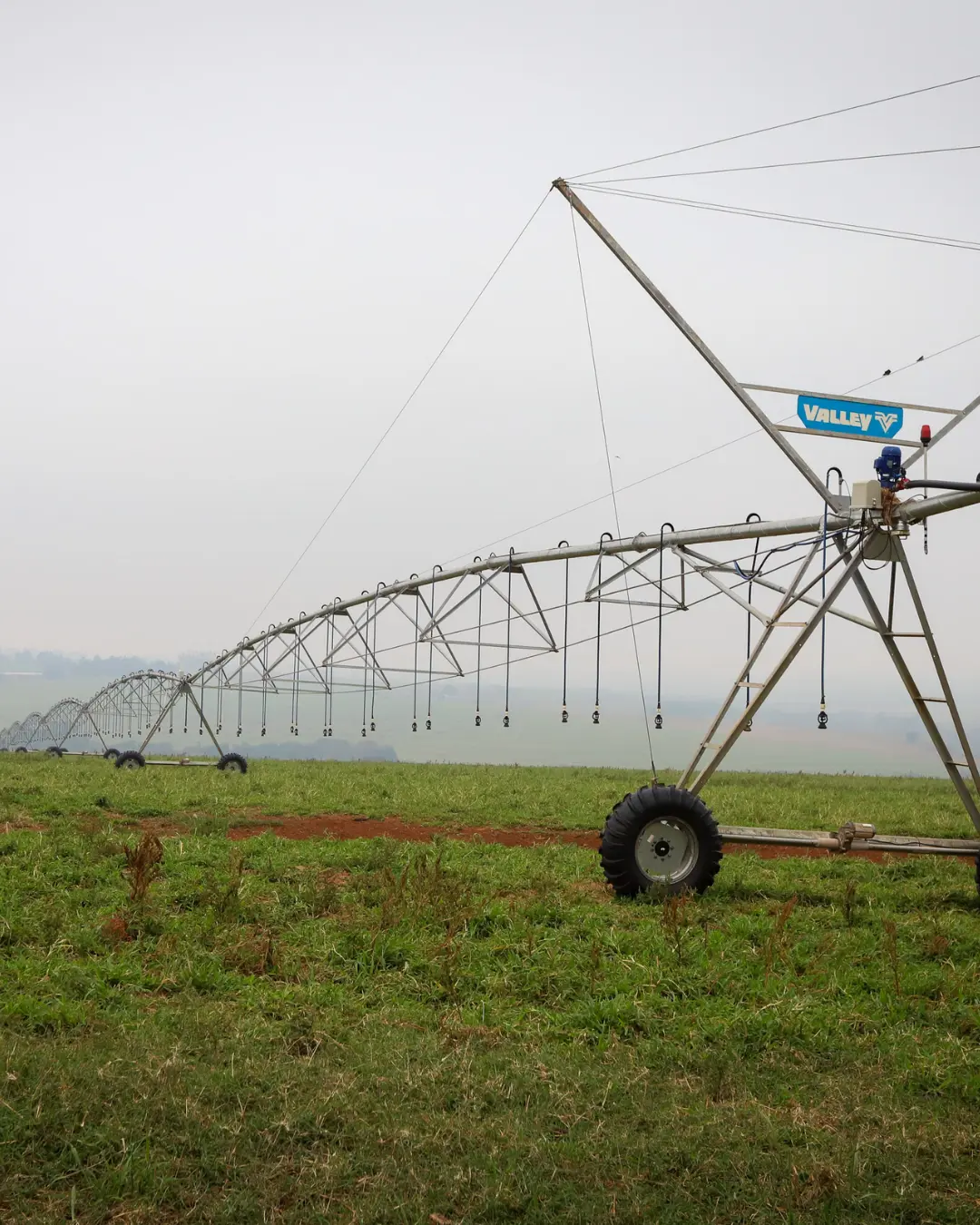 Decreto estabelece formas para agricultores acessarem subvenção do Irriga Paraná