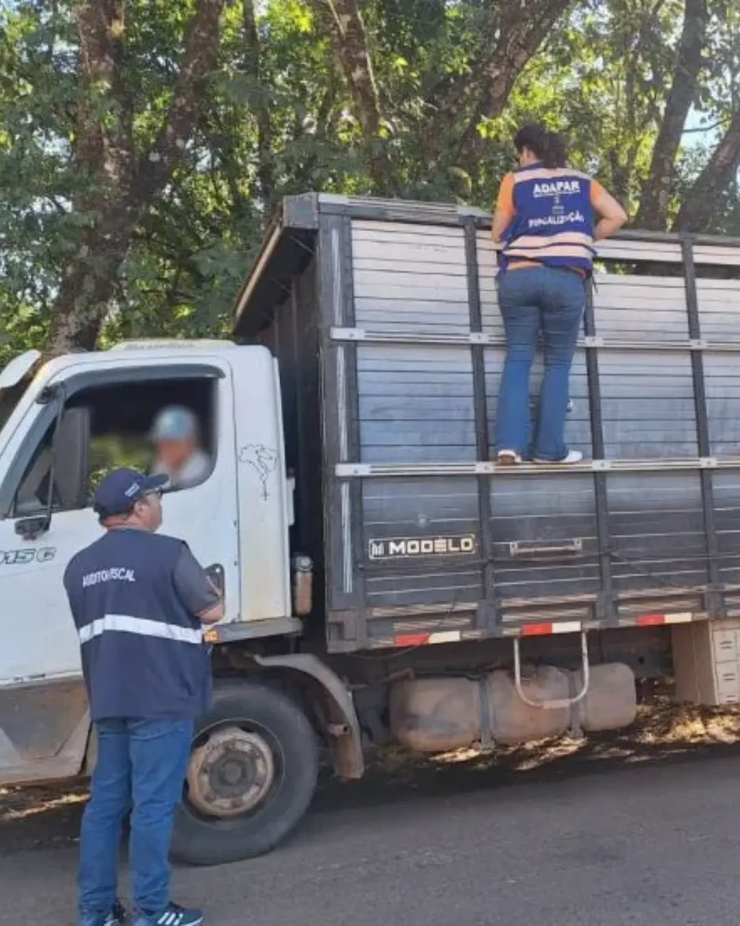 Fiscalização no Sul do Paraná apreende R$ 2,6 milhões em mercadorias com irregularidades fiscais