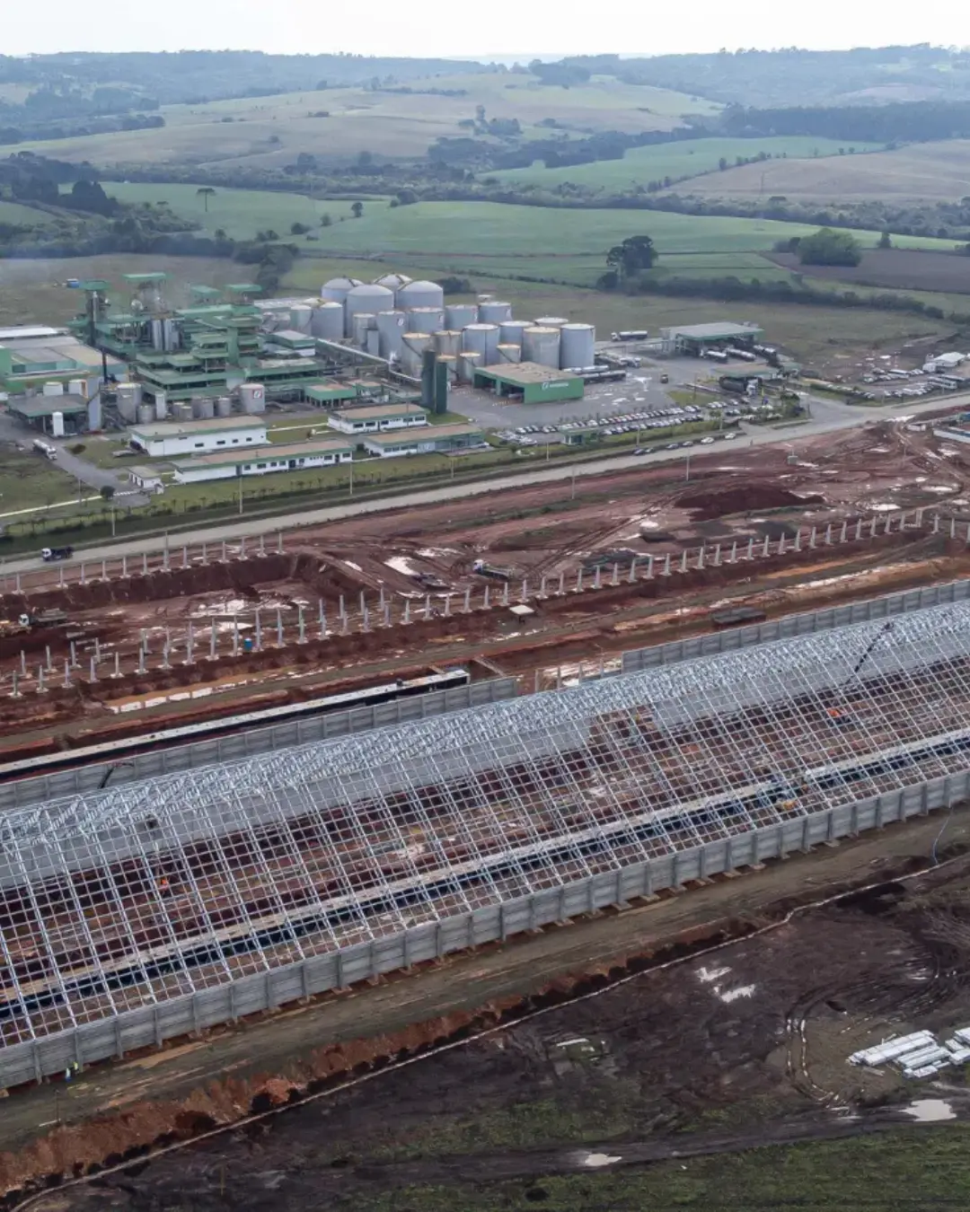 Paraná lidera crescimento econômico entre estados do Sul e Sudeste em novembro de 2024