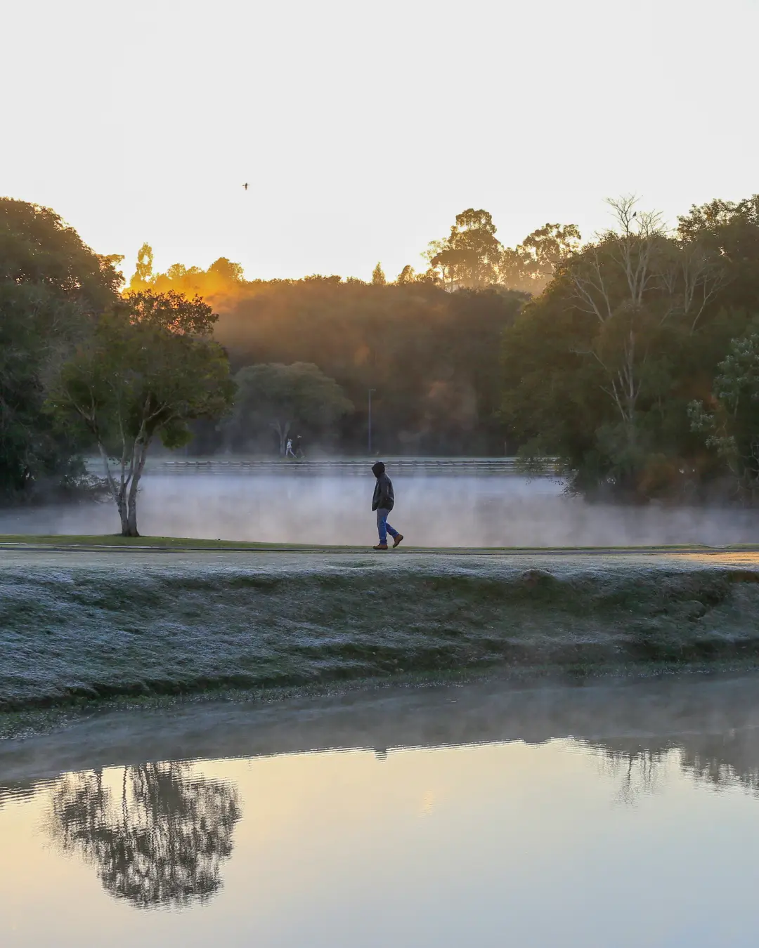 Paraná terá queda abrupta de temperatura, chegando a mínimas próximas de 0ºC em algumas cidades