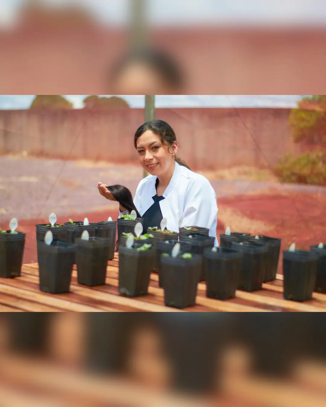 Pesquisa da Unioeste propõe uso de cabelo humano como adubo sustentável