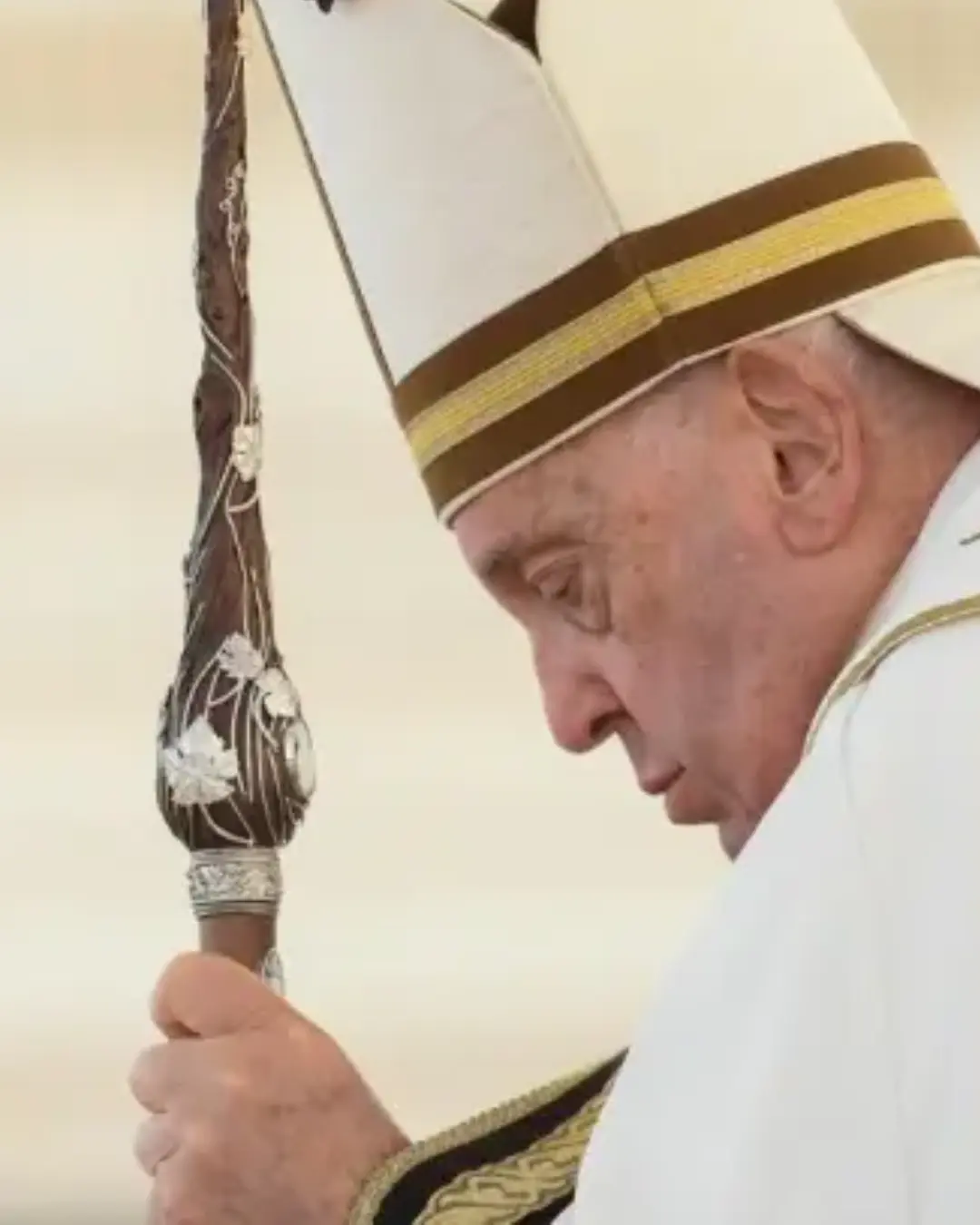 Sete cardeais brasileiros estarão no Conclave para escolher o sucessor do papa Francisco