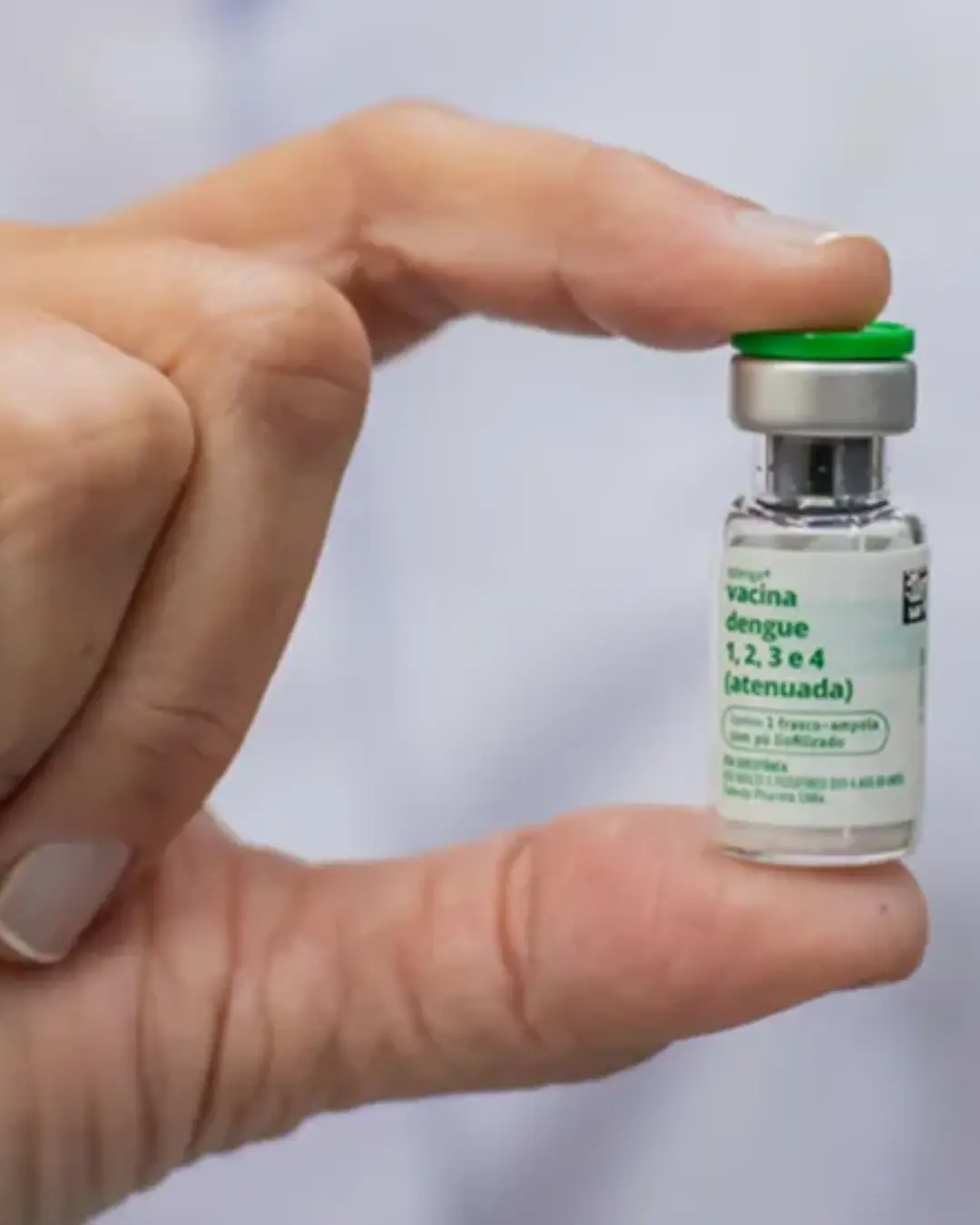 Vacina contra a dengue será aplicada em Curitiba a partir de segunda-feira (19) para crianças e adolescentes