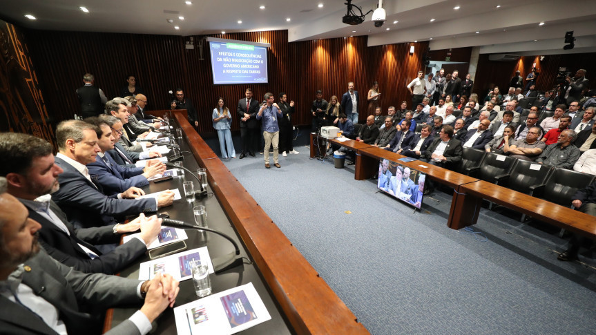 Audiência apresenta medidas para socorrer setor madeireiro do Paraná diante do ‘tarifaço’ dos EUA