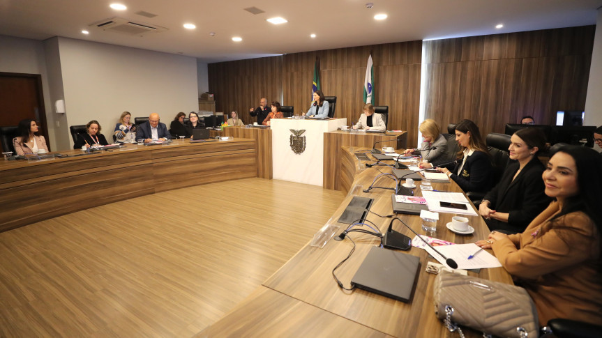 Desafios vividos pela mulher no climatério são abordados em audiência na Assembleia Legislativa do Paraná
