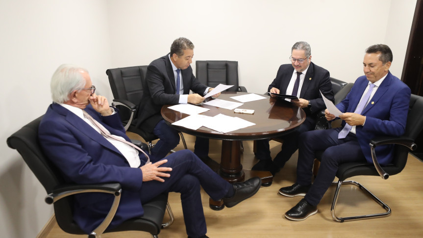 Comissão de Defesa dos Direitos da Pessoa Idosa aprova projeto que cria Cordão de Tulipa