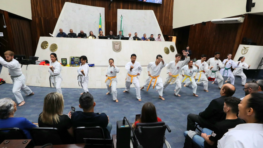 Dezembro Faixa Preta é celebrado em sessão solene na Assembleia