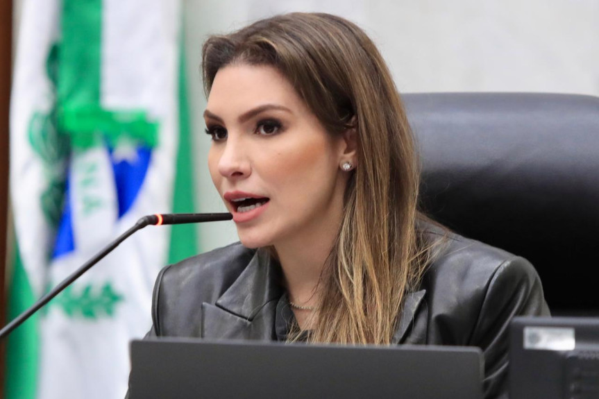 Assembleia debate os impactos geopolíticos no mercado de commodities e o papel estratégico do Paraná