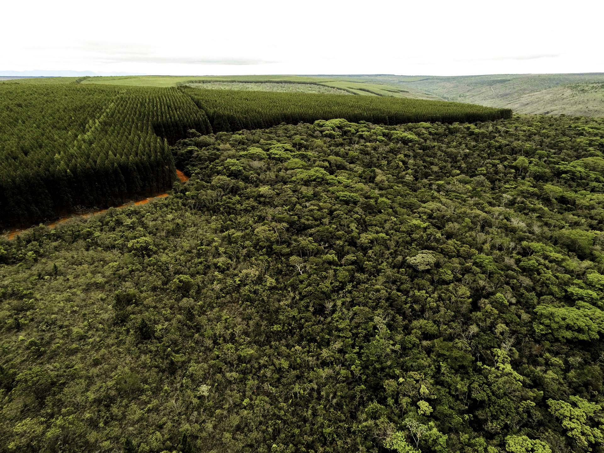 Setores produtivos ampliam ações ambientais em Minas Gerais